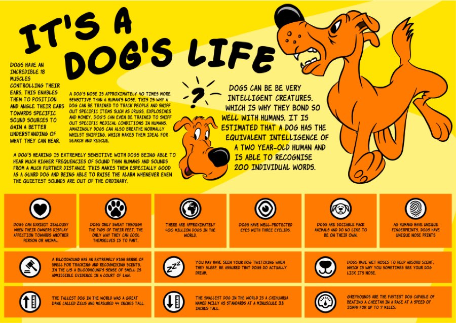 It's a Dog's Life  Infographic• Wowben.uk