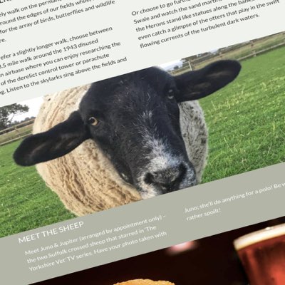 Diasbled Ramp Concept 2