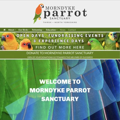 Diasbled Ramp Concept 4